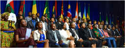 Young African Leaders Initiative, ici en 2014