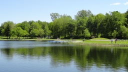Parc à Montreal