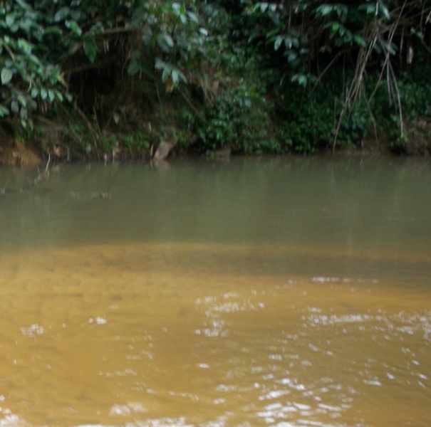 Fichier:Eau.JPG