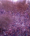Paris manif 03.png